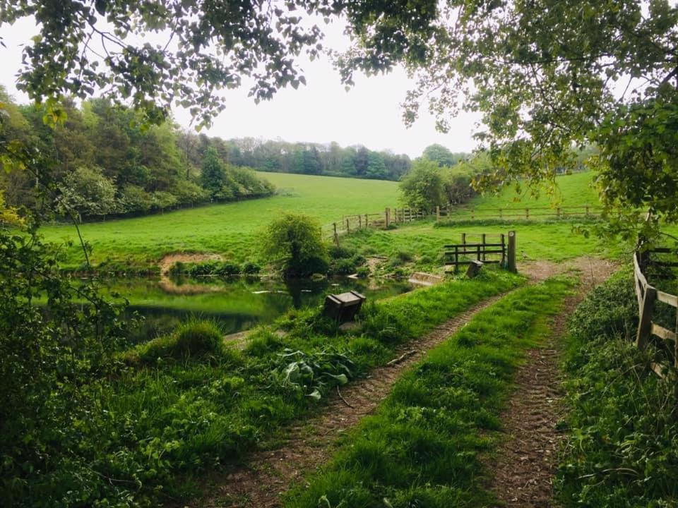 Holly Cottage, Hidden Gem In The Yorkshire Wolds Welton  Экстерьер фото
